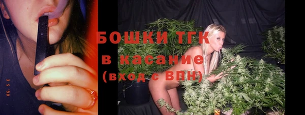 дмт Богородицк