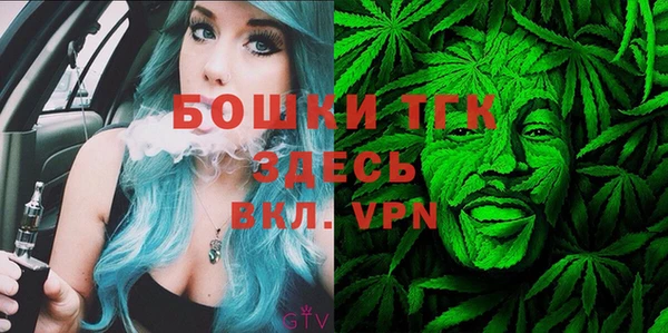 дмт Богородицк