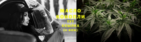 дмт Богородицк