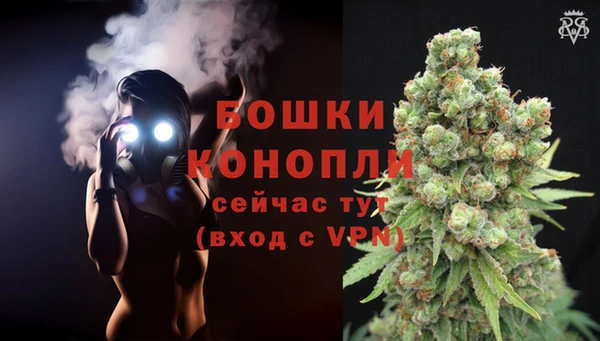 дмт Богородицк