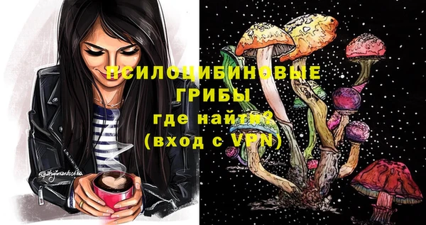 дмт Богородицк